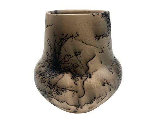 Navajo Native American Pottery Horse Hair Indian Home Decor Vase Vail Handmade Southwest #TOP1