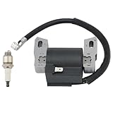 HIPA 590454 Ignition Coil Compatible with Brigg Stratt 799381 790817 692605 802574 Magneto Armature