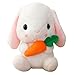 Peluche coniglio di Pasqua peluche coniglio bambola animale farcito 8,7 pollici, bianco peluche coniglietto con carota carota coniglio decorazioni di Pasqua regalo di compleanno per bambini ragazze