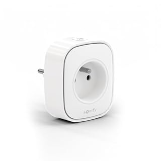 Somfy 1871215 - Prise Connectée Zigbee | Capteur de consommation électrique | Améliore la portée radio | Routeur pour appareils Zigbee | Compatible TaHoma switch | Utilisation en intérieur