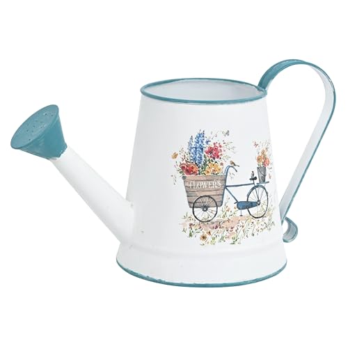 Zokyntrix Small Watering Can for Indoor Plants Garden Metal Decorative Watering Can Outdoor Bonsai...