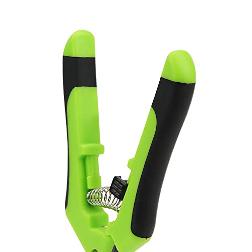 ZEONHAK 6 PCS 6.5 Inch Green Bud Trimming Scissors, 16.5cm Micro Tip Hand Pruning Snip, Straight Tip Pruning Shears for Gardening Plant - Image 4