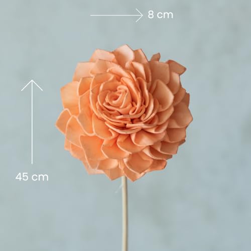 Image of Peachy Wood Flowers On Stem (Pack of 10)