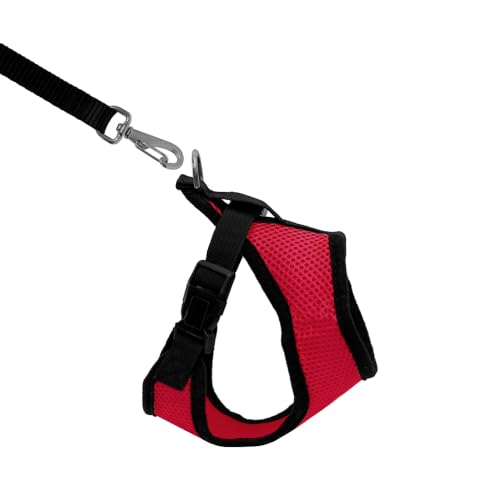 Conjunto Peitoral e Guia Confort Gato: Passeios Agradáveis com Estilo e Segurança (VERMELHO)