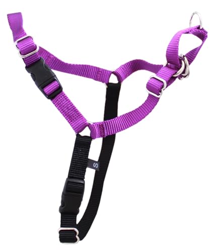 pets chewy dog harness