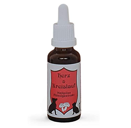 CatAmore Vitalpilze Flüssigextrakt für Tiere Heilpilze Mykotherapie | Herz & Kreislauf | Nahrungsergänzungsmittel 30ml Cover