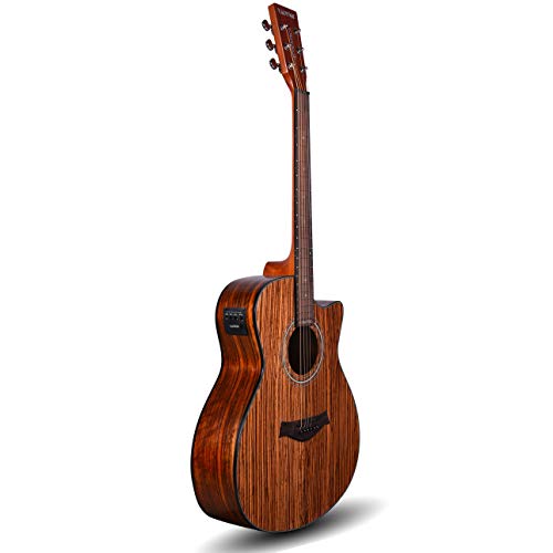 Kadence Acoustica Series Acoustic Electric Guitar - Wooden Acoustic Guitars (Zebra Wood) - Electric Acoustic Guitar With Pickup, Inbuilt Tuner And Bag - Guitar Acoustic For Beginner & Professionals #TOP25
