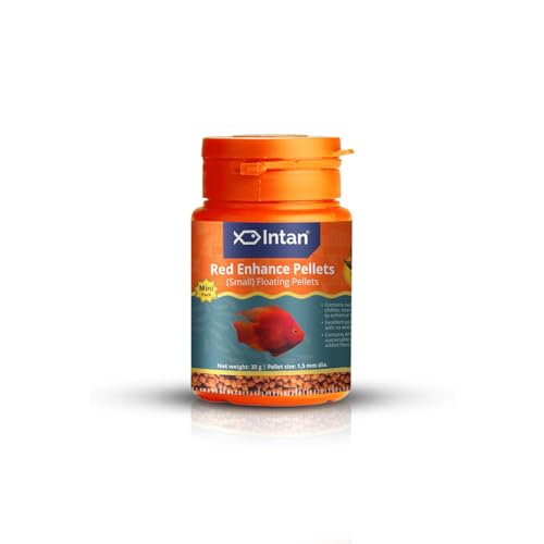 Image of Intan Red Enhance Pellets (Small 1.5mm Floating) | 30gm - Highly Nutritious Ornamental Fish Food for Parrotfish & Red Coloured Fish | Growel Feeds