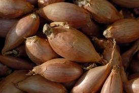 Fresh Shallot 40lbs. Bulk