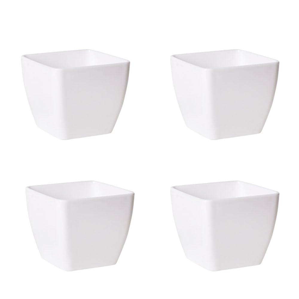 Pots carrés épais plastique blanc 8cm pour protéger et sublimer vos succulentes