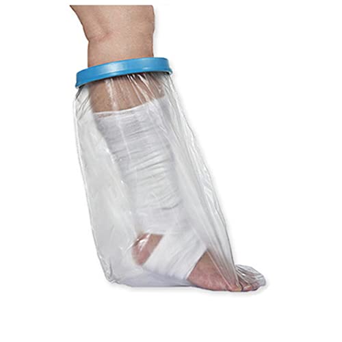 lp[h MuXJo[]p r G  S ~hTCY   ӂ͂ Ђ܂/ q ⏕