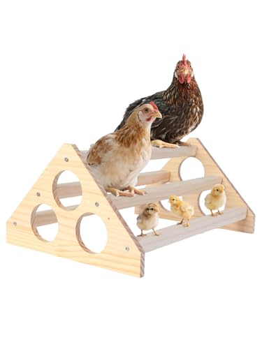 Wooden Chick Perch Chick Stand Training Perch Wood Chicken Roosting Bar for Entertainment Strong Chick Jungle Gym Roosting Bar Strong Wooden Chicken Roosting Bar Easy to Assemble and CleanBig