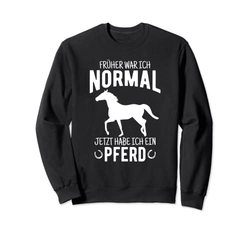 Autrefois, j'étais normal maintenant j'ai un cheval d'équitation Sweatshirt