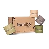 bamboi