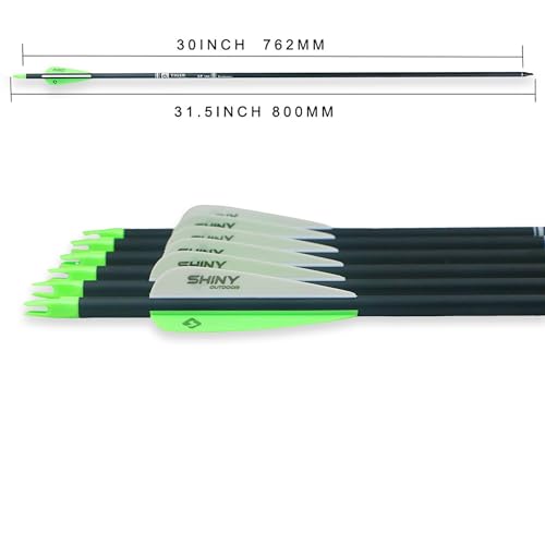 image for TIGER ARCHERY 30Inch Carbon Arrow Practice Hunting Arrows with Removab