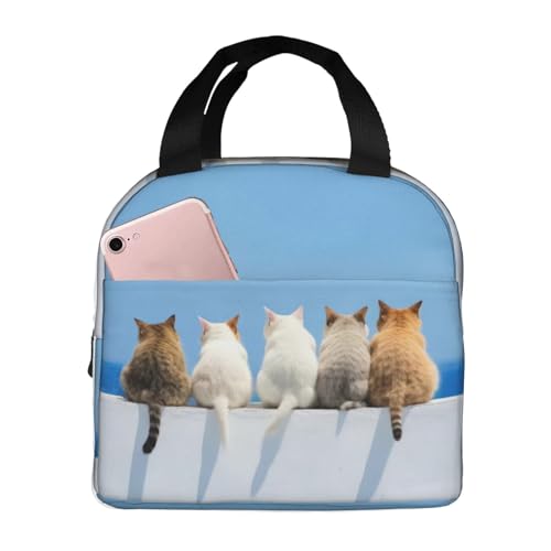 `obO L ۗ ۉ ٓobO  RpNg O|Pbgt ~jg[gobO p肳obO fB[X Y ʋ ʊw s fB[X Y qp