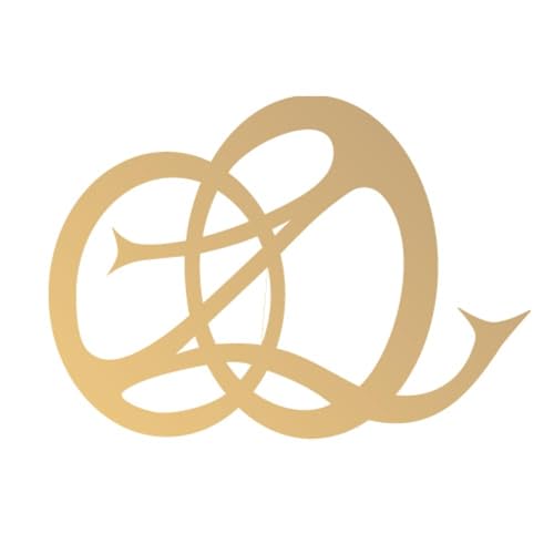 『Oz Orgonite』のカバーアート