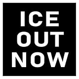 ICE Out Now Sticker 4x4 Anti Trump Immigration Stickers