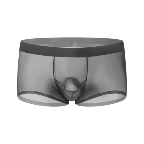 Men's Sexy Sheer Boxer Brief Lingerie Breathable Support Pouch Underwear Hot Male Night Underpants