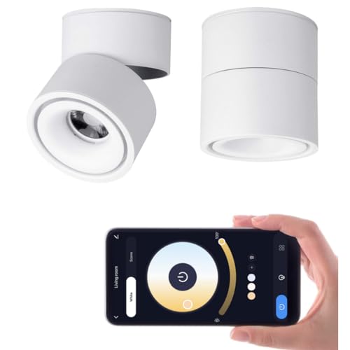 Image of LED 3CCT Dimmable Ceiling Spotlight Indoor 360Adjustable -Tuya Smart Life Surface Mounted 12W COB Directional Art Lighting-Hard Wired Ceiling Downlight for Mural Display Home Shop (White)