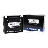 ProSelect(プロセレクト) バイク GL-PTX20L-BS ナノ・ジェルバッテリー(YTX20L-BS 互換)(ジェルタイプ 液入充電済) PSB110 密閉型MFバッテリー