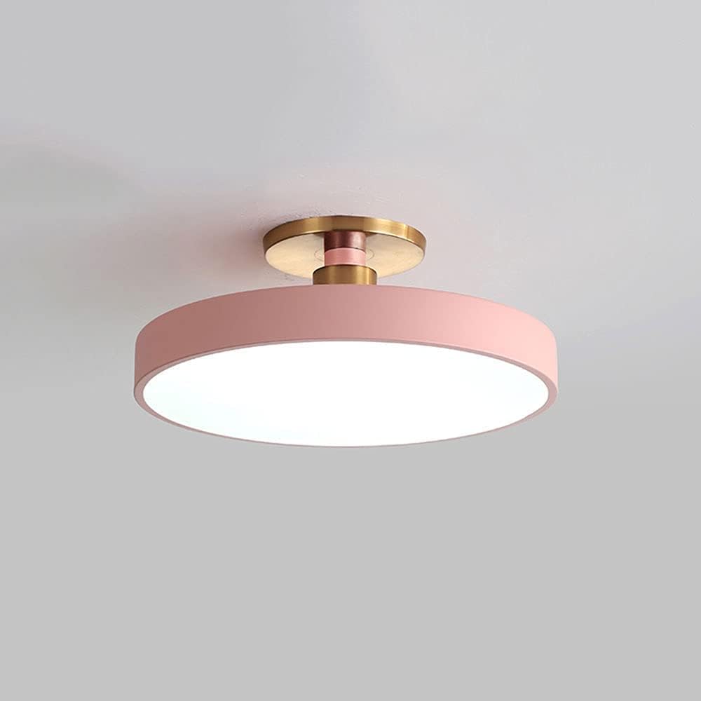 Nordic Led Simple and Modern Ceiling Light Round Close to The Ceiling Lamp Light with Remote Ultra-Thin for Living Room, Bedroom, Dining Room/White/White Light 16In