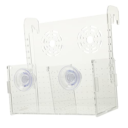 PartyKindom  {bNX {Bp z t t ̐   h  t