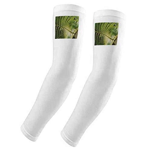 Guante con diseño de hojas fotográficas transpirable y guantes de protección solar UV