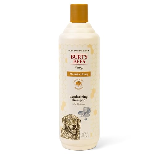 Burt's Bees for Pets Deodorizing Shampoo for Dogs, Manuka Honey & Charcoal, Reduces Odor, 95%+ Natural Origin, No Sulfates, Parabens or Phthalates, Leaves Milk & Honey Scent, 16 Fl Oz