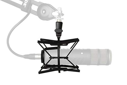Rode Wireless Pro microphone