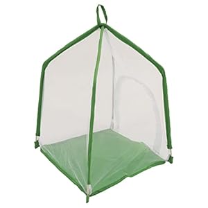 Insectenkooi, fijnmazige sierplanten Huisvormige insectenhabitatkooi voor bidsprinkhanen