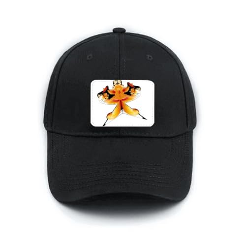 Casquette de baseball noire avec motif cerf-volant pour vos sorties et balades en plein air