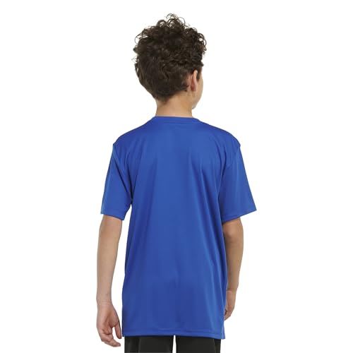 Image of adidas Boys Short Sleeve Aeroready Performance Logo Tee T-Shirt