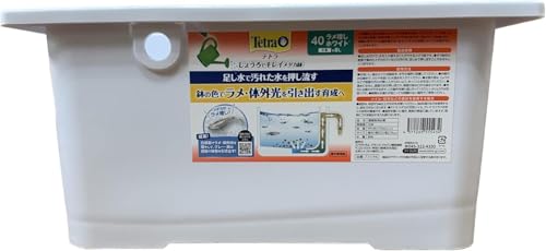 テト ラ (Tet ra) じょうろでキレイメダカ鉢 40 ラメ増しホワイト
