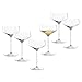 Produktbild LEONARDO HOME PUCCINI Champagnerschale  6 Stück  Cocktailglas  Champagnerglas  Klassische Form  Elegantes Design  Ideal für Aperitif und Dessert  Spülmaschinengeeignet  350 ml  069593