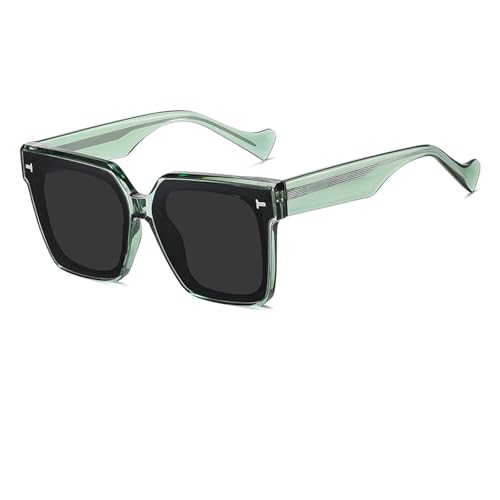 Lunettes de soleil polarisées UV400 unisexes avec monture transparente tendance