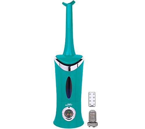 Humidifier with remote control and demineralization filter