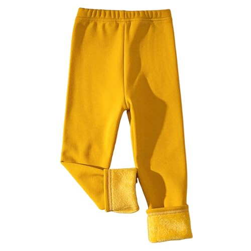 LbY^Cc ̎q MX q N h ۉ Rbg^Cc K[Y pXg LbY^Cc  { L[g GKg r ʊw