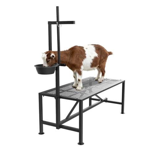 Wepepy Upgrade Goat Milk Stand Feed Bin, 400lbs Goat Stand