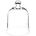Plymor 10" x 13" Bell Jar Glass Display Dome Cloche (Interior Size 9.5" x 10.5")