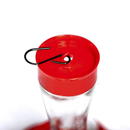Nature's Rhythm Bird Feeder 4 bee Guard Plastic Feeding Port 8oz Glass Pinch Waist Hummingbird Feeder,1pcs
