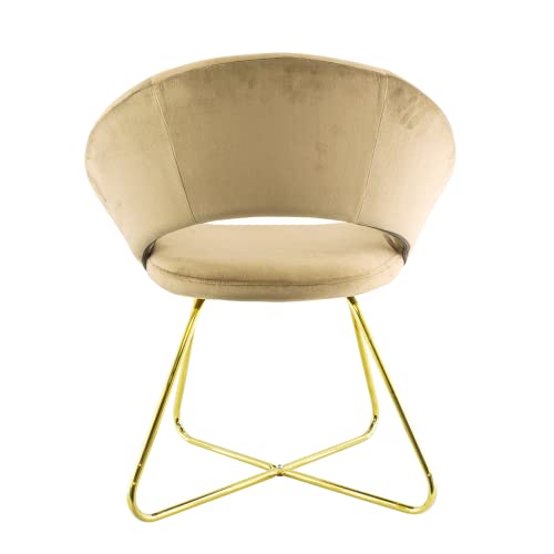 ✨ La seduta dal design a semicerchio ha una struttura in ferro con imbottitura in spunga, la  robustezza e la comodità sono assolutamente garantite. Greta è rivestita di un bellissimo tessuto ad effetto velluto, ciò la rende morbidissima al tatto e molto calda.