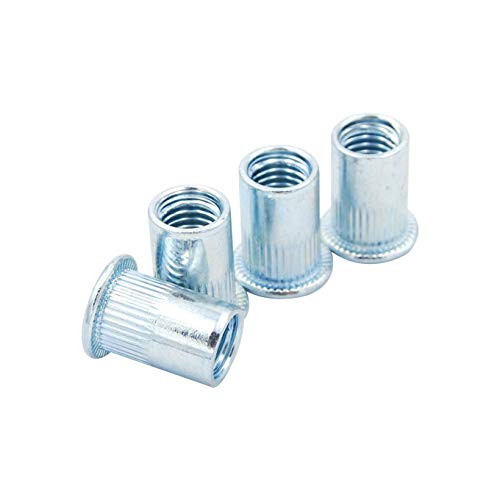 100pcs Rivet Nut Insert Nutsert Threaded Steel Zinc Plated Flat Head Knurled Body M3 M4 M5 M6 M8 M10 M12 (M8)