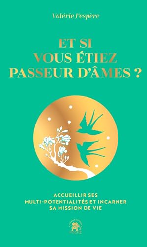 livre Et si vous étiez passeur d'âme - COLLECTOR: Accueillir ses multi-potentialités et incarner sa mission de vie