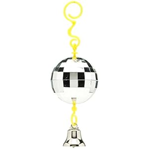 JW Pet Activitoy Discokugel Vogelspielzeug