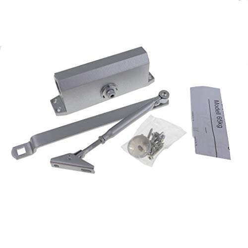 Hydraulischer Türschließer Torschließer Tür Tor Stangentürschließer (Kraft: bis 65Kg)