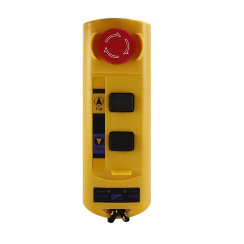 Télécommande industrielle F21-2S pour remplacer les câbles de treuil 24V