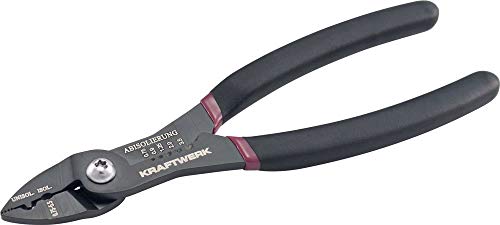 Kraftwerk 3253 - Pinza spelafili e capicorda