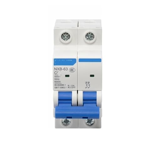 Disyuntor NXB-63 2P C de 32A e interruptor de aire DZ47 para protección eléctrica segura
