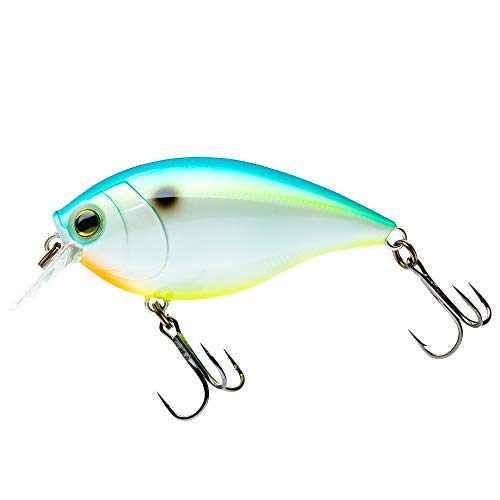 Yo-Zuri R1363-CSH Hardcore Crank Sr 65F 65Mm 2-5/8